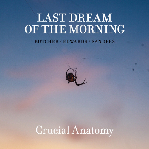Crucial Anatomy